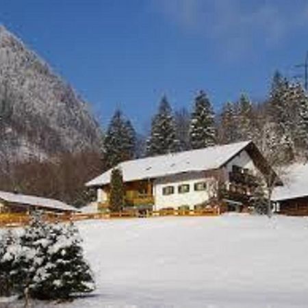 Haus Holzner-Nagl Apartman Schneizlreuth Kültér fotó